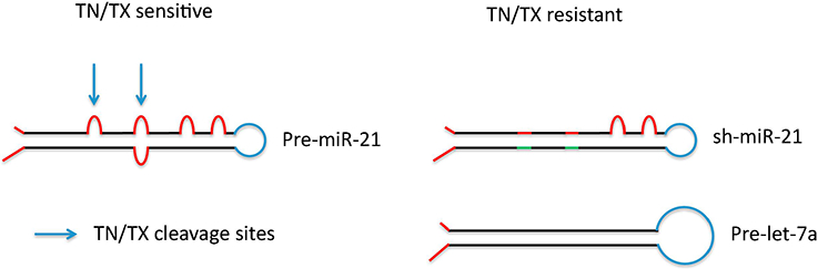 Figure 2: