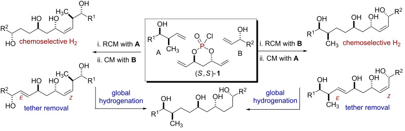 Scheme 1