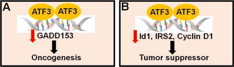 Fig.2