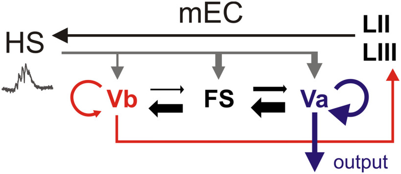 Figure 8.