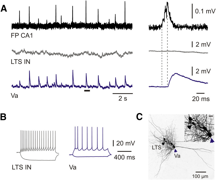 Figure 5.