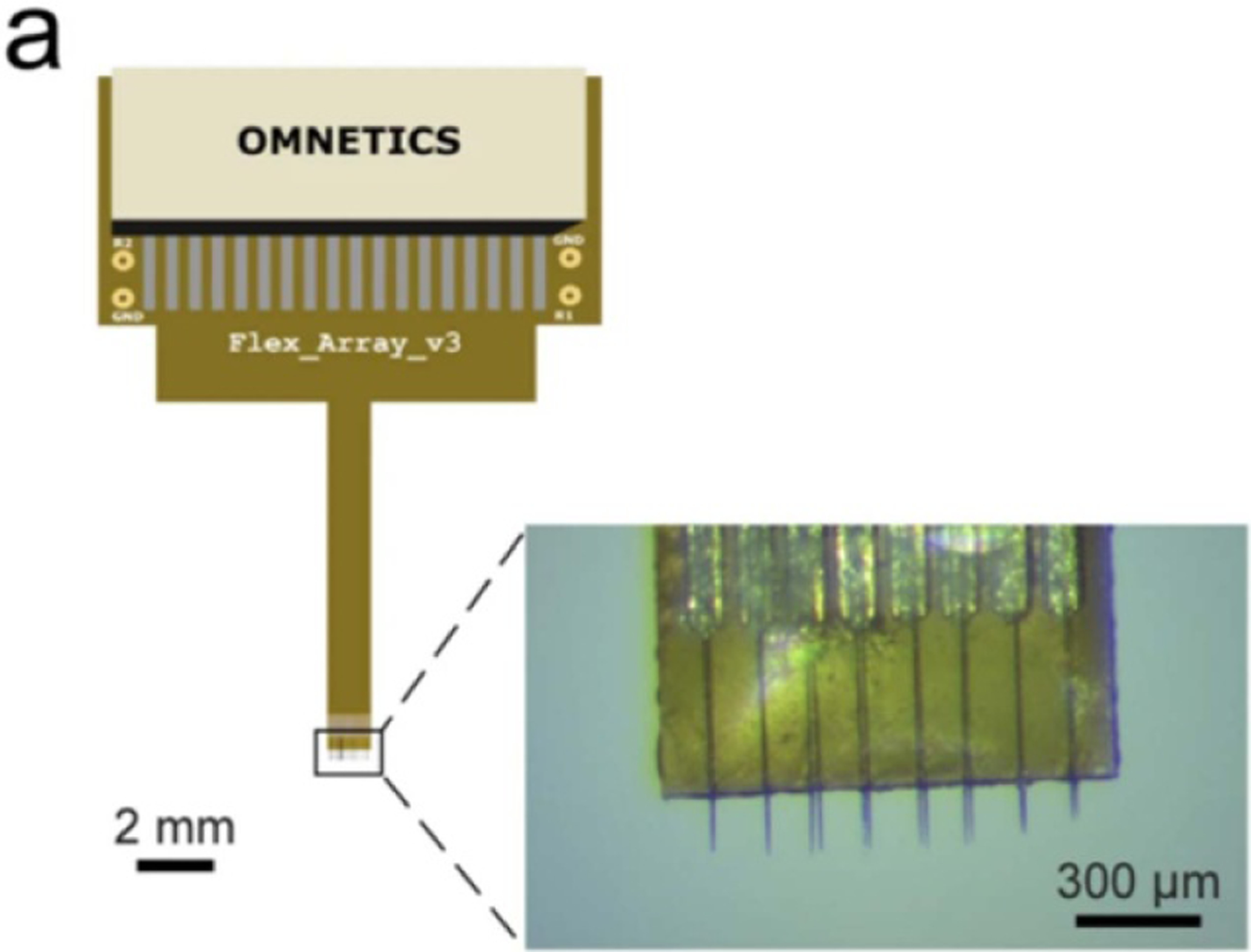 Figure 10.