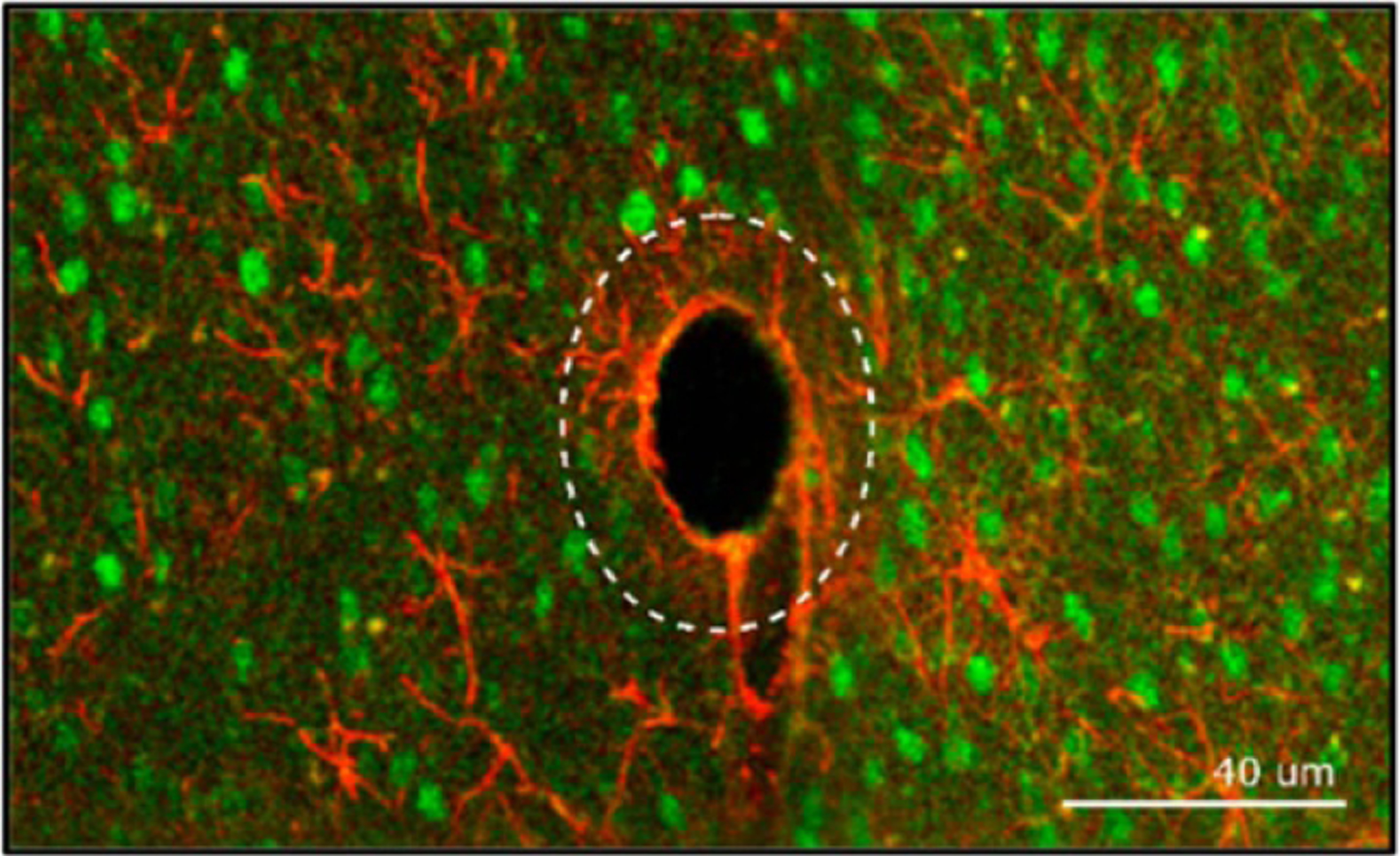 Figure 33.