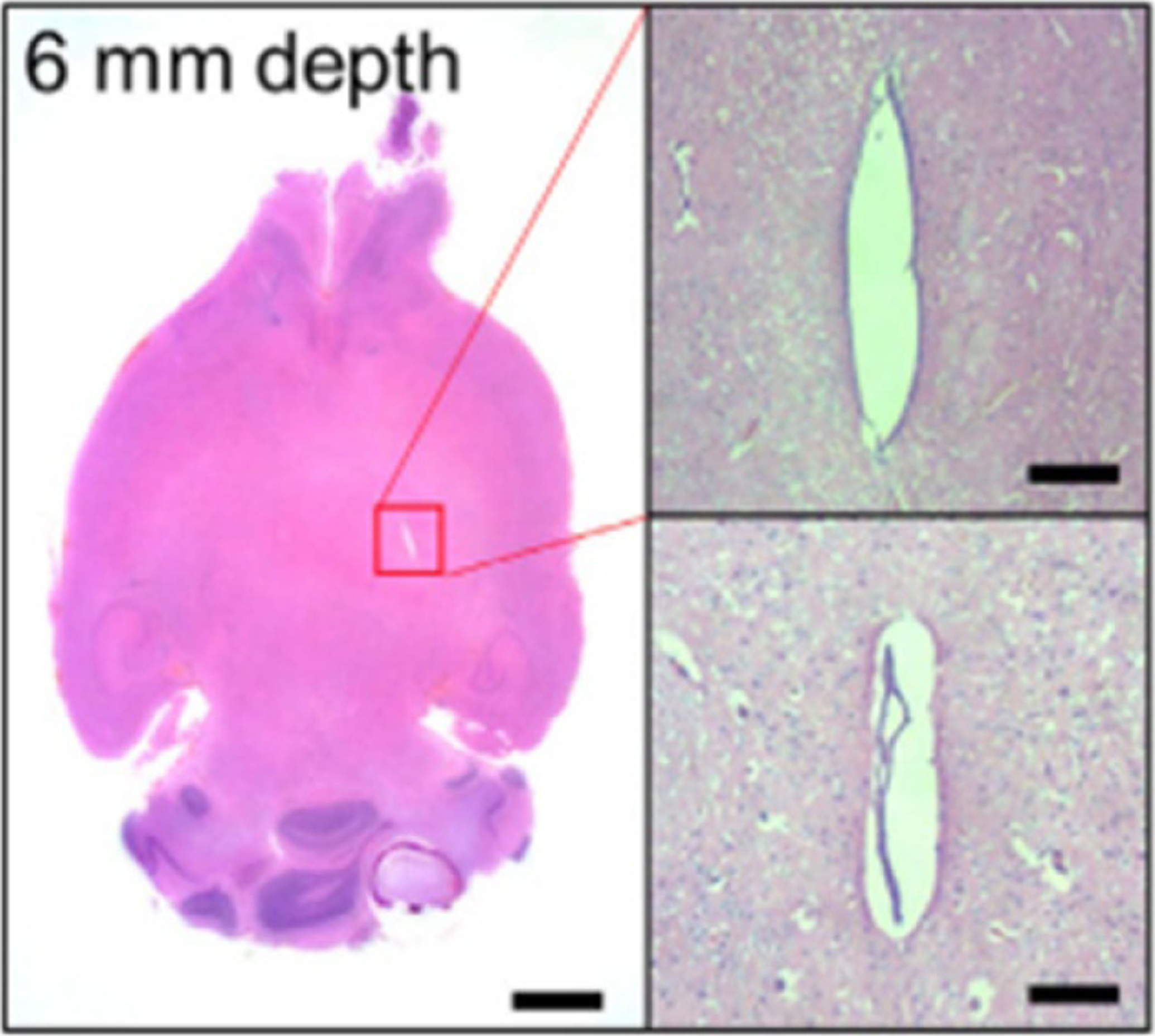 Figure 34.