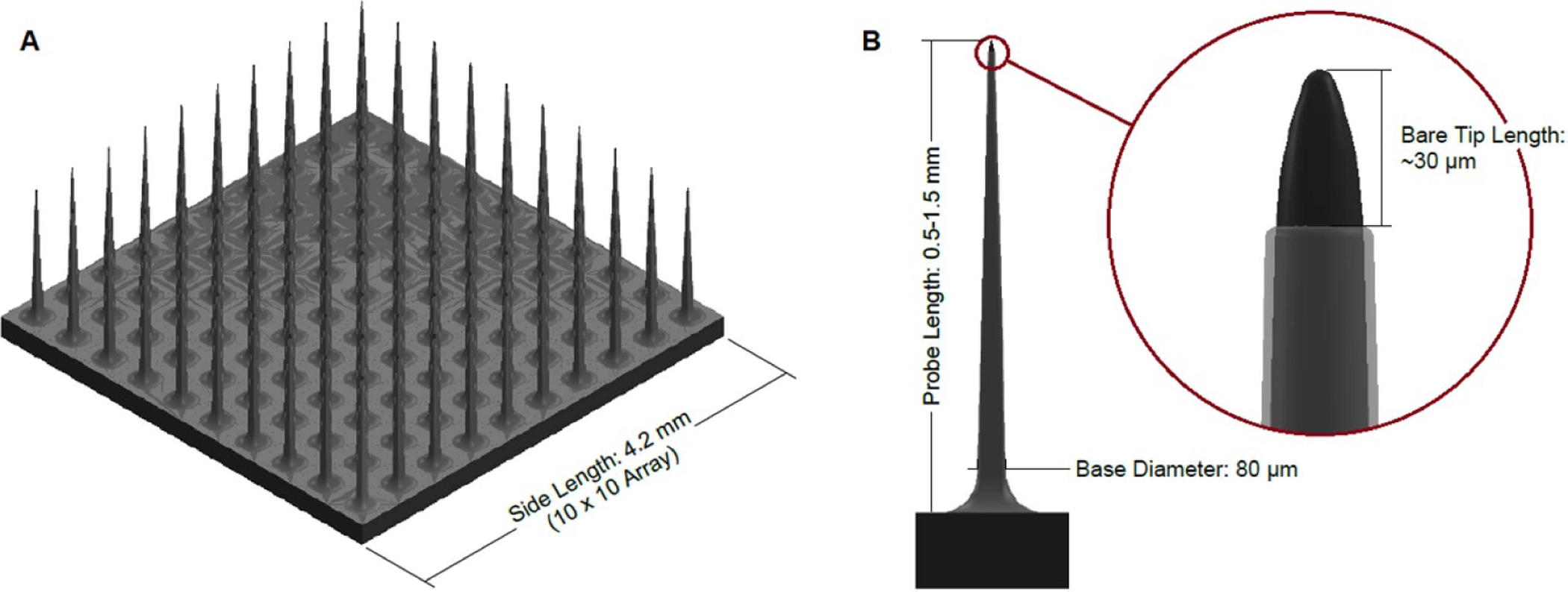 Figure 11.