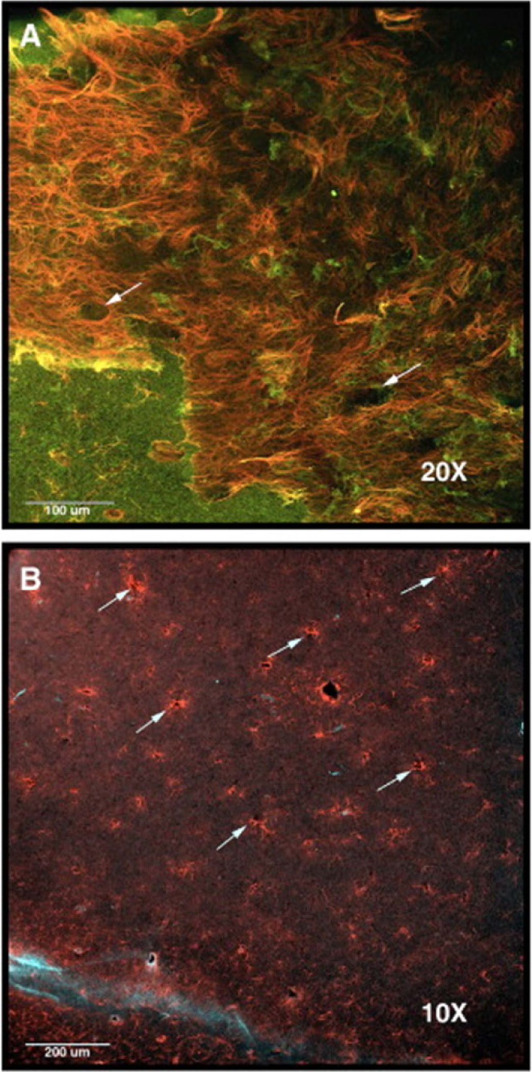 Figure 32.