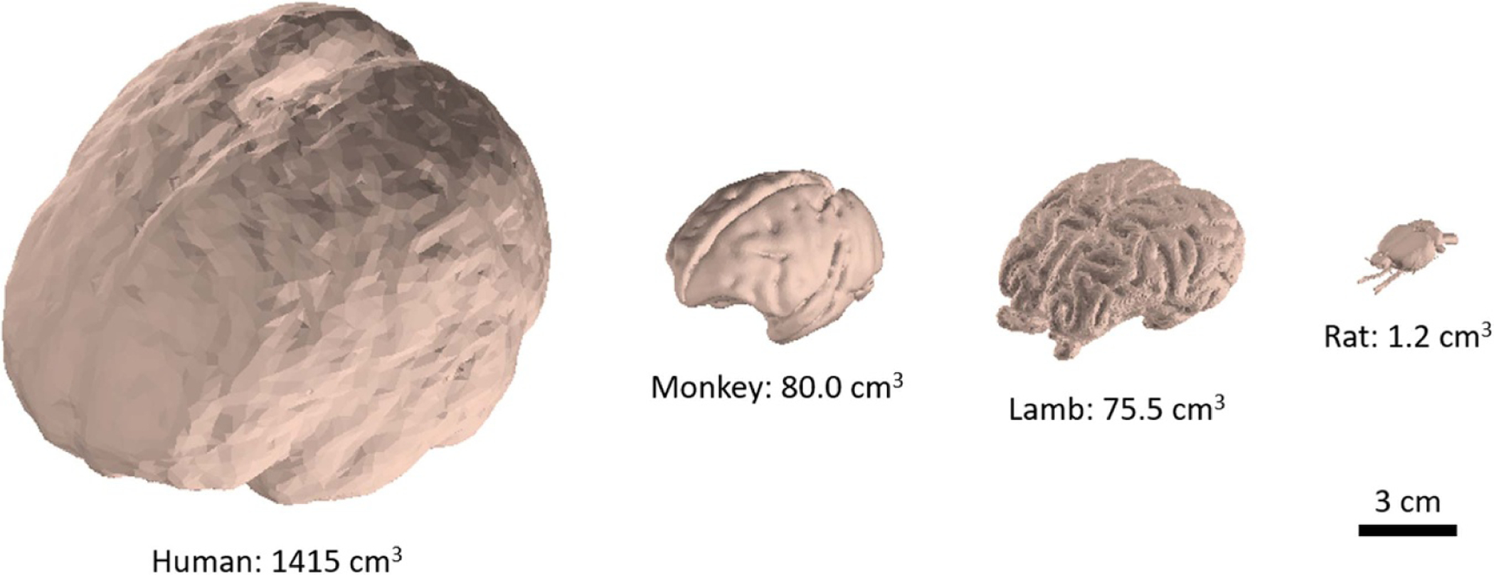 Figure 2.