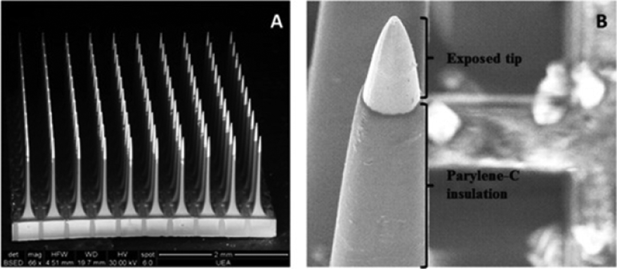 Figure 12.