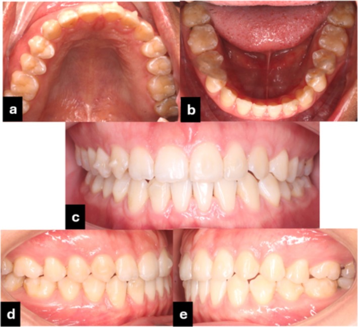 FIGURE 7