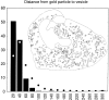 Fig. 12.