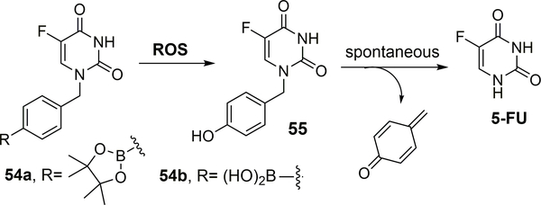 Figure 17.