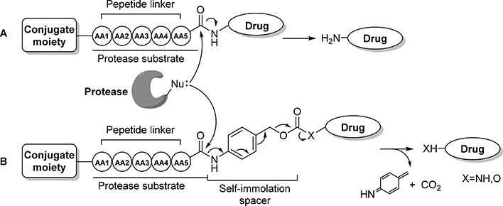 Figure 12.