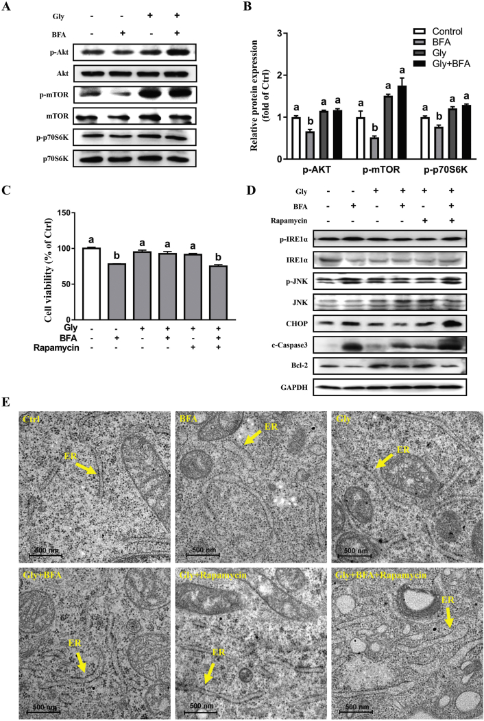 Fig. 4