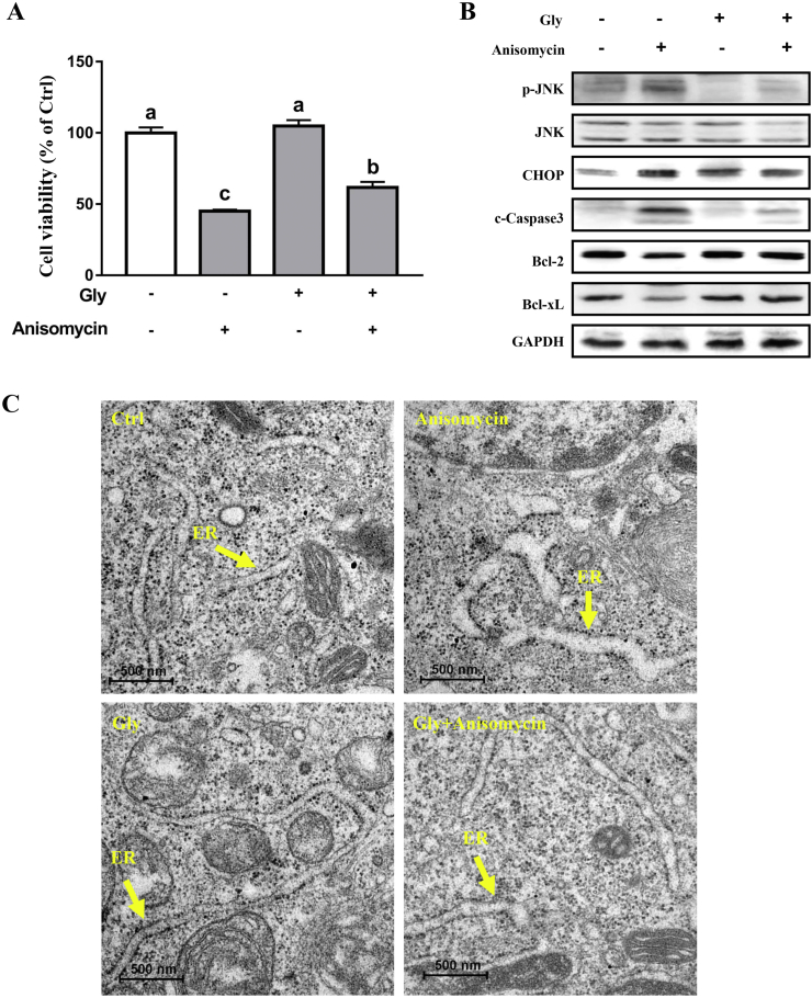 Fig. 3