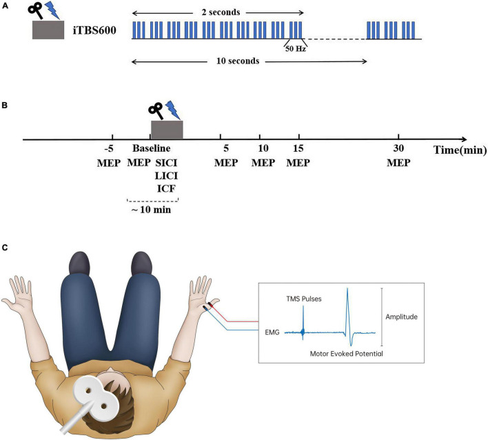 FIGURE 1