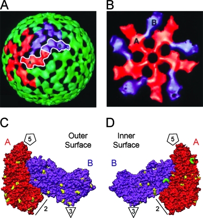 FIG. 2.