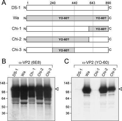 FIG. 7.