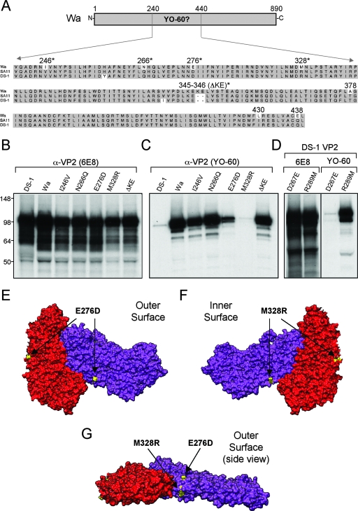 FIG. 8.