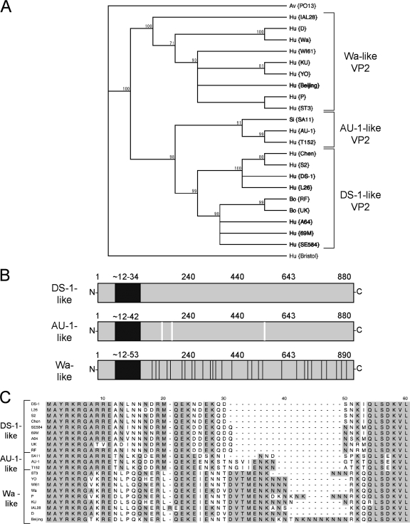 FIG. 1.