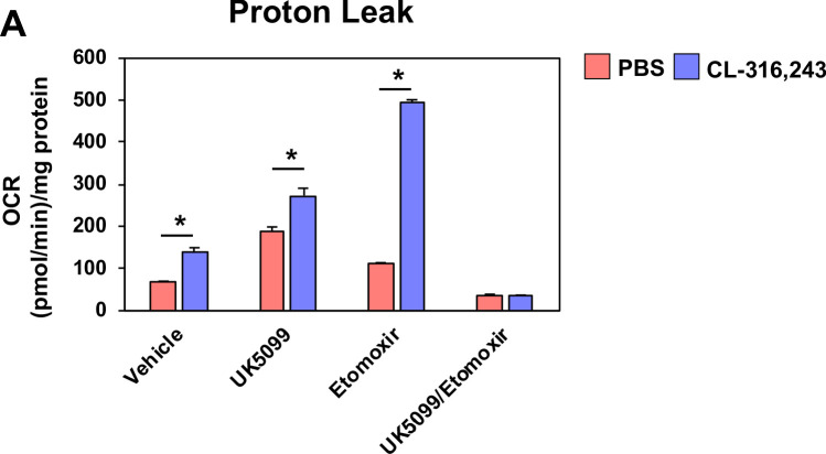 Figure 7—figure supplement 1.