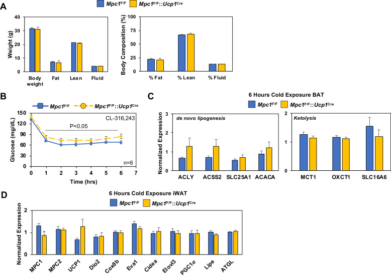 Figure 4—figure supplement 1.