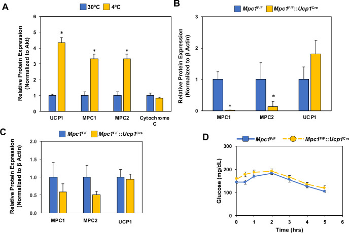 Figure 3—figure supplement 1.