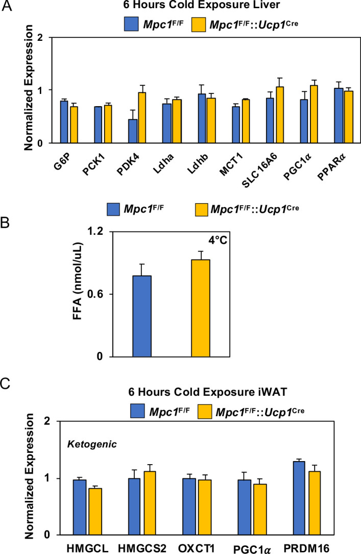 Figure 8—figure supplement 1.