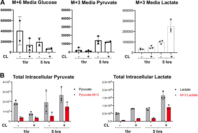 Figure 2—figure supplement 1.