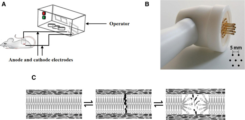 Figure 5.