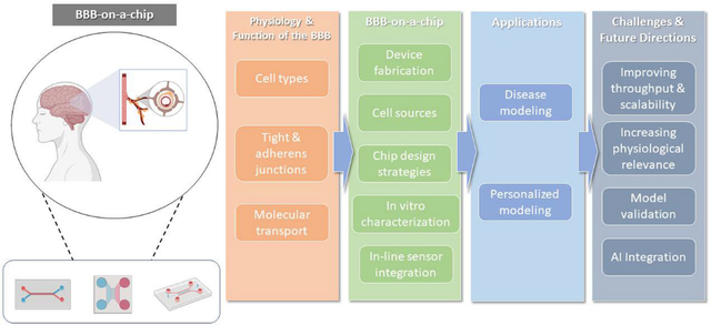 graphic file with name nihms-1831423-f0001.jpg