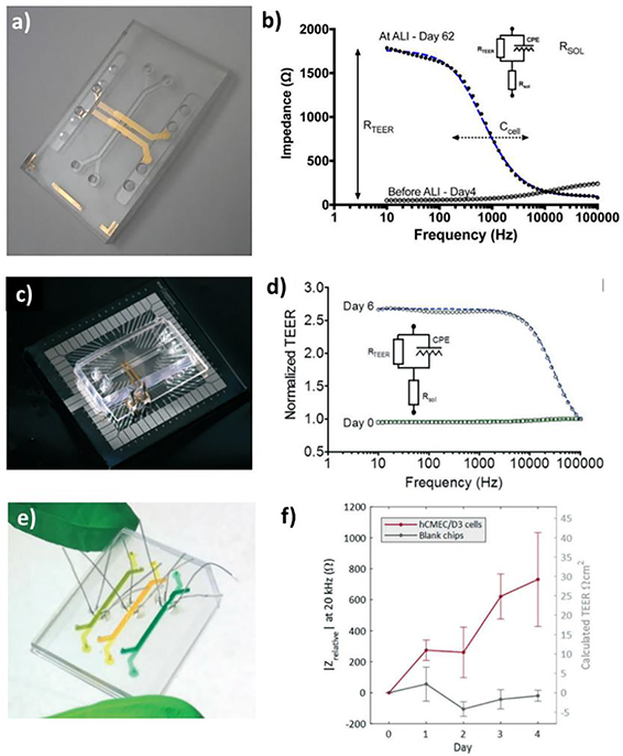 Figure 5.