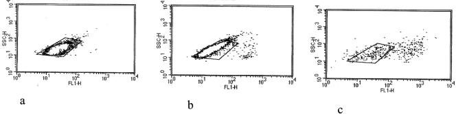 FIG. 3.