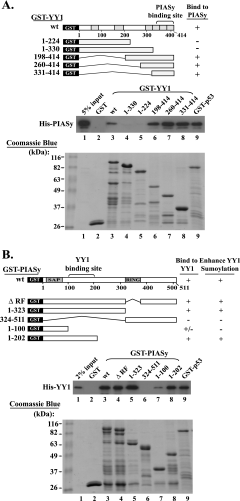 FIG. 5.