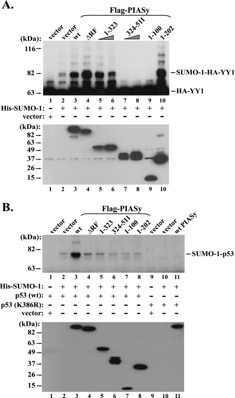 FIG. 6.