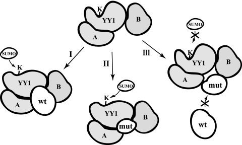 FIG. 9.