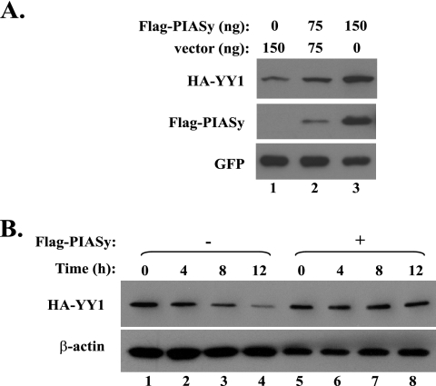 FIG. 7.