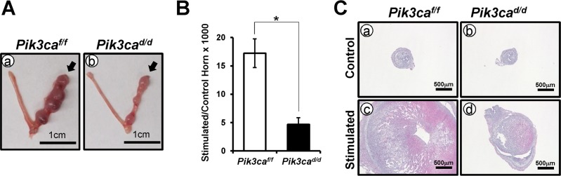 Fig 5