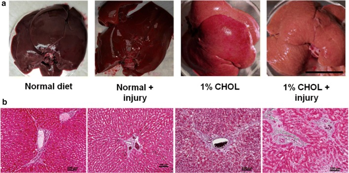 Fig. 6