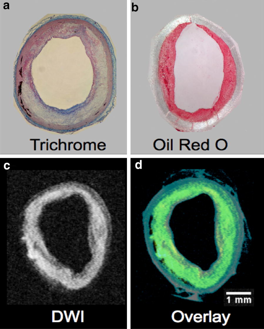 Fig. 4