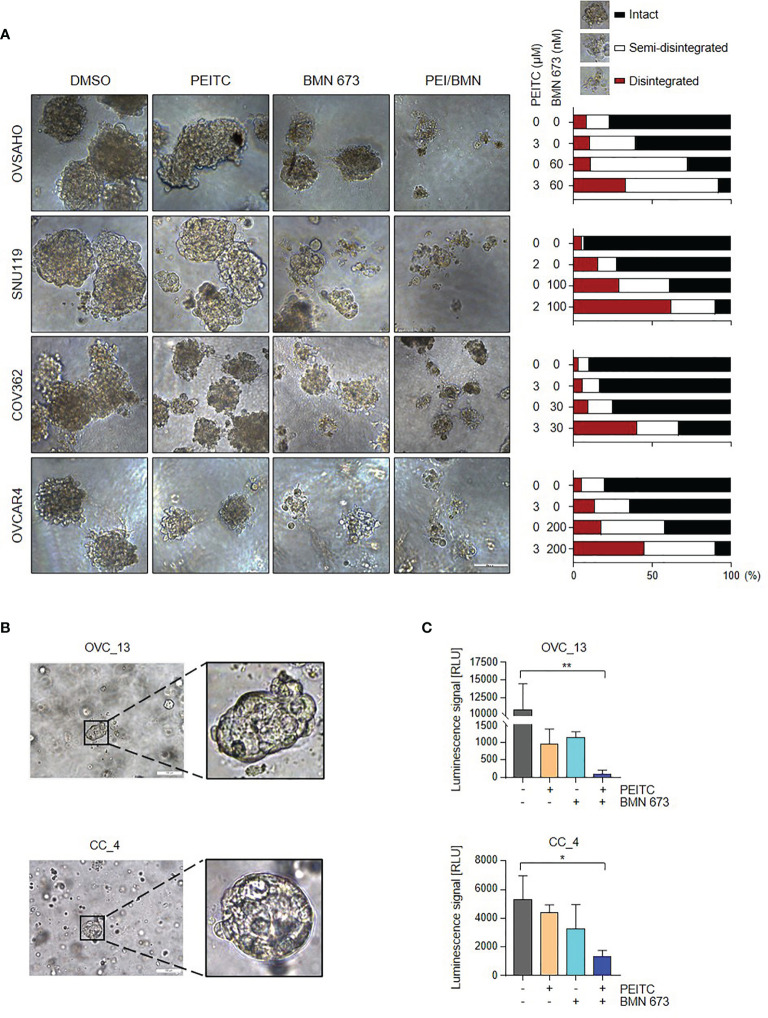 Figure 6