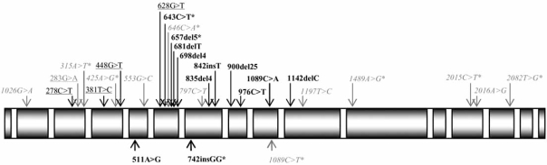 Fig. (1)