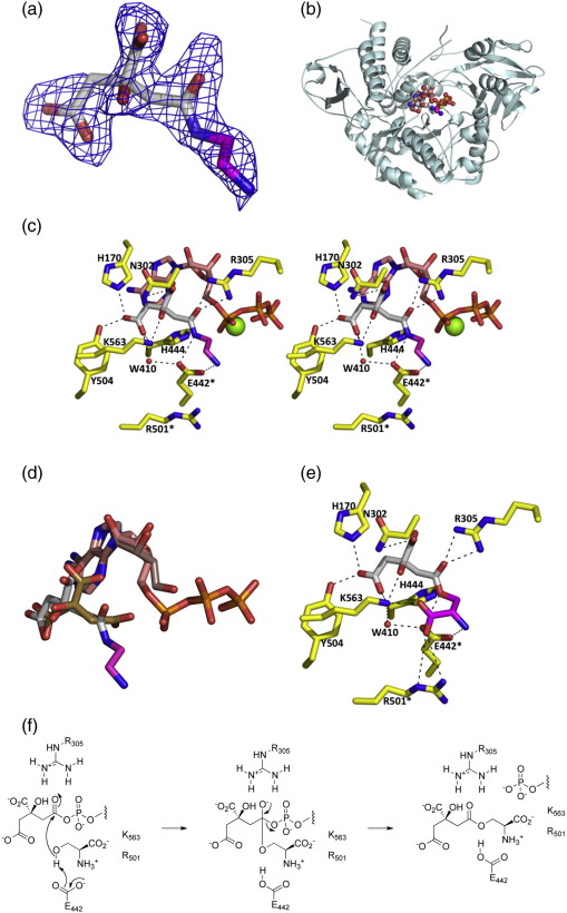 Fig. 3