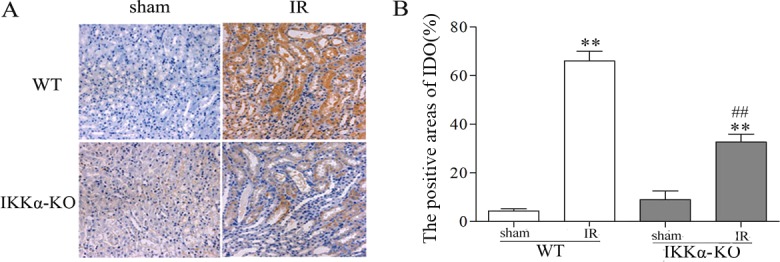 Fig. 10.