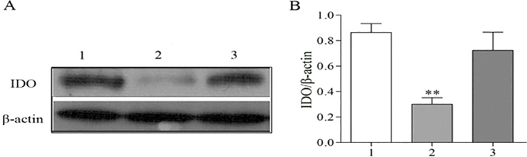 Fig. 11.