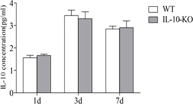 Fig. 8.