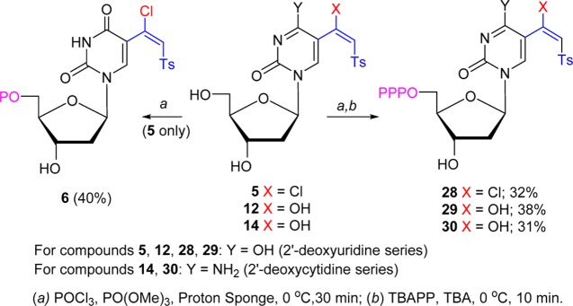 Scheme 4