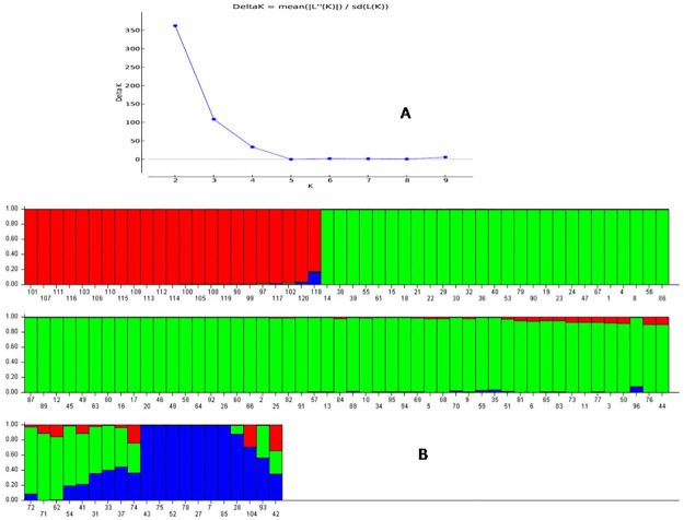 Fig 5