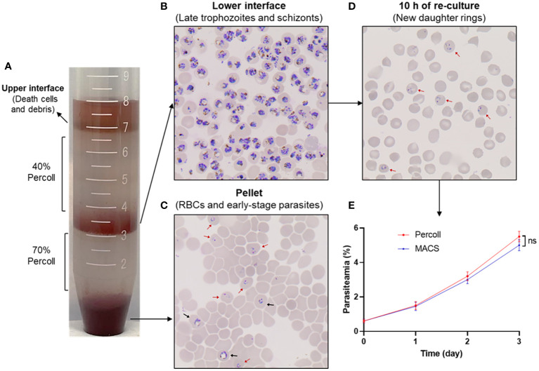 Figure 6