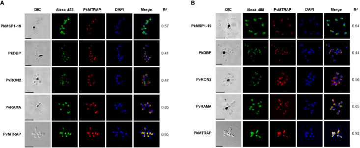 Figure 4