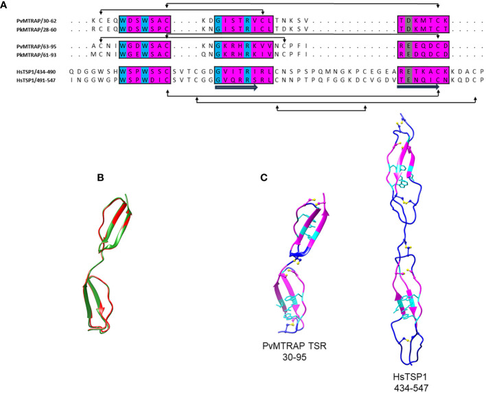 Figure 2